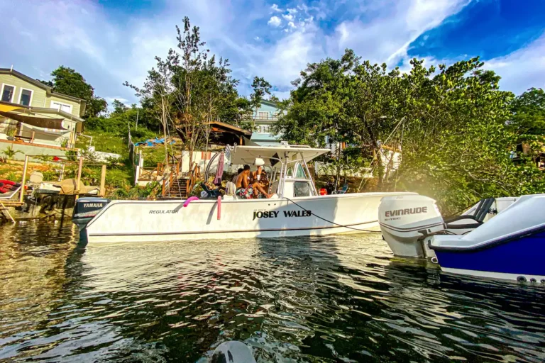 DDI 2 768x512