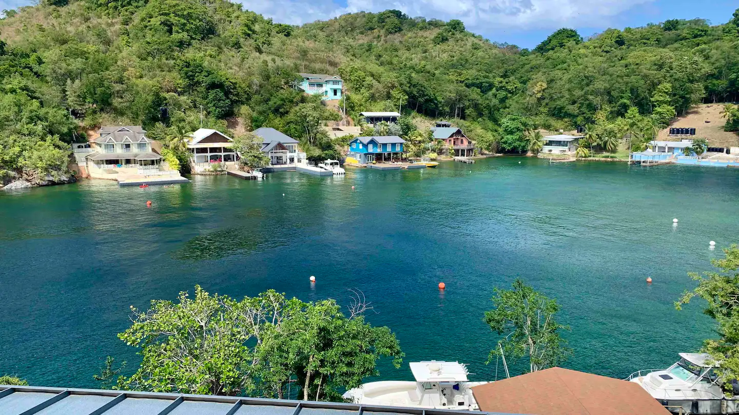 DDI 21