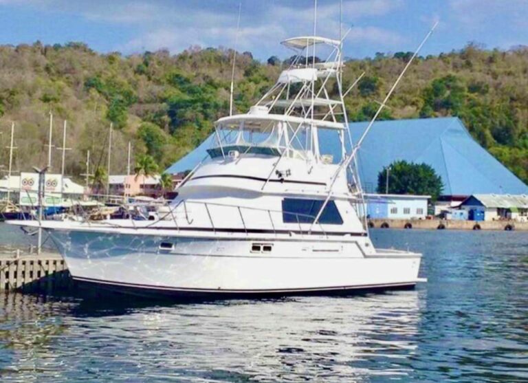 GudThymeCharters DDIBoat rental Photo 4 768x557