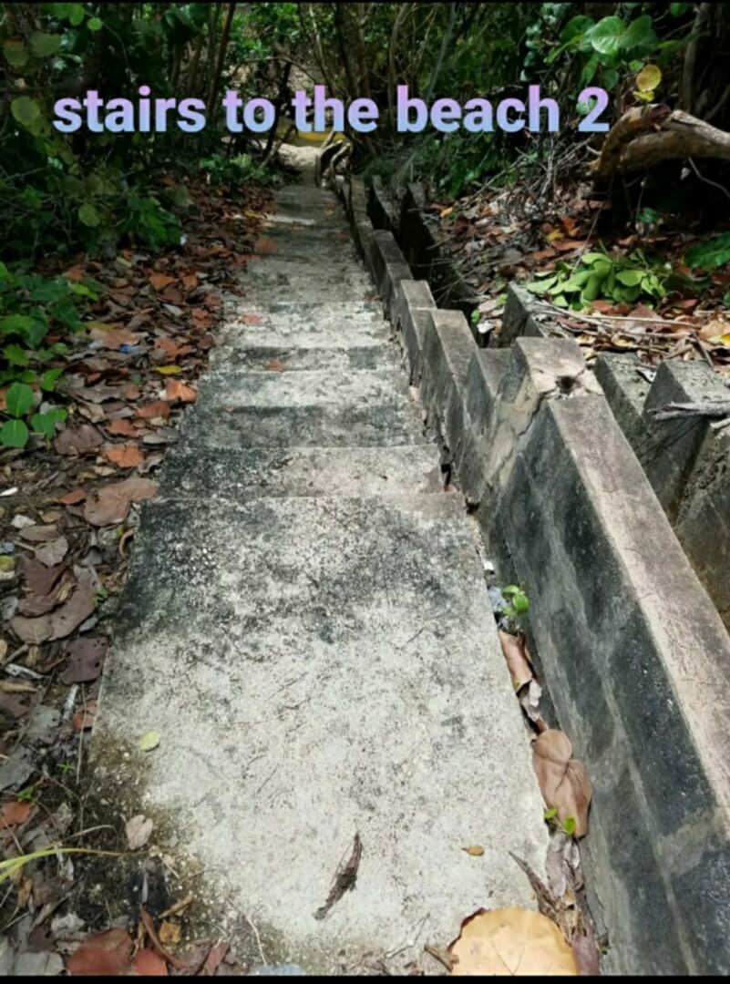 IMG 20220315 WA0026