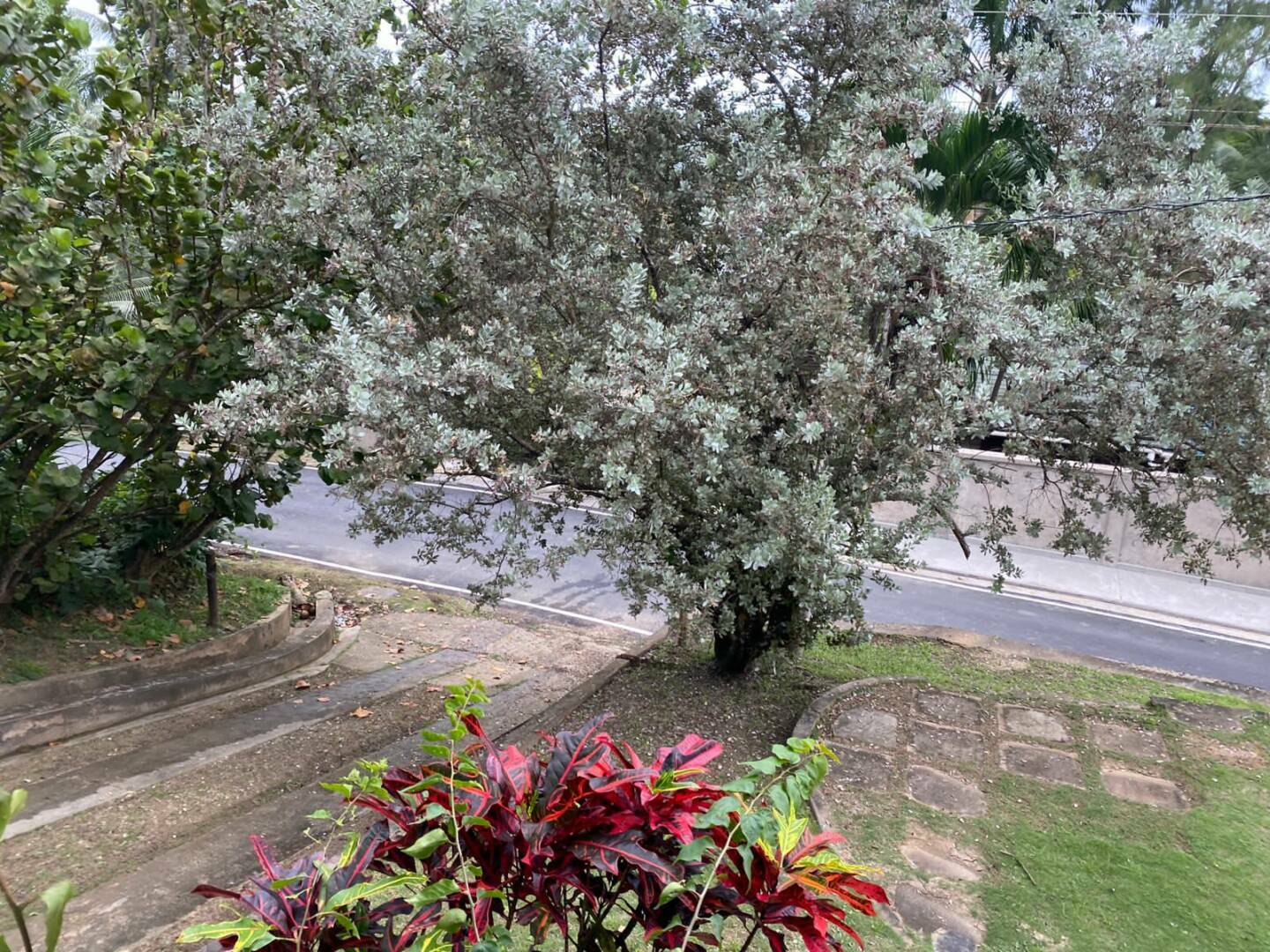 IMG 20221212 WA0001