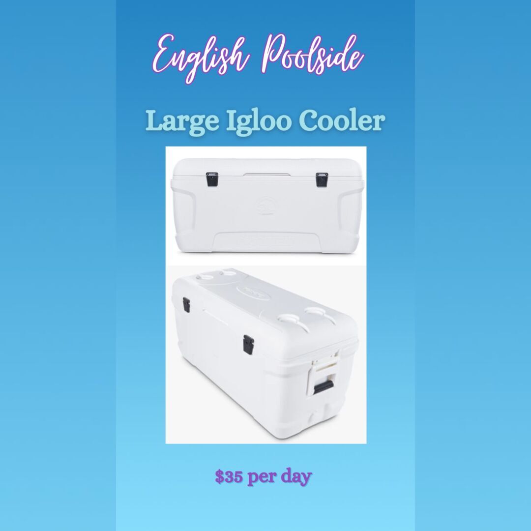 ISIMG 897562