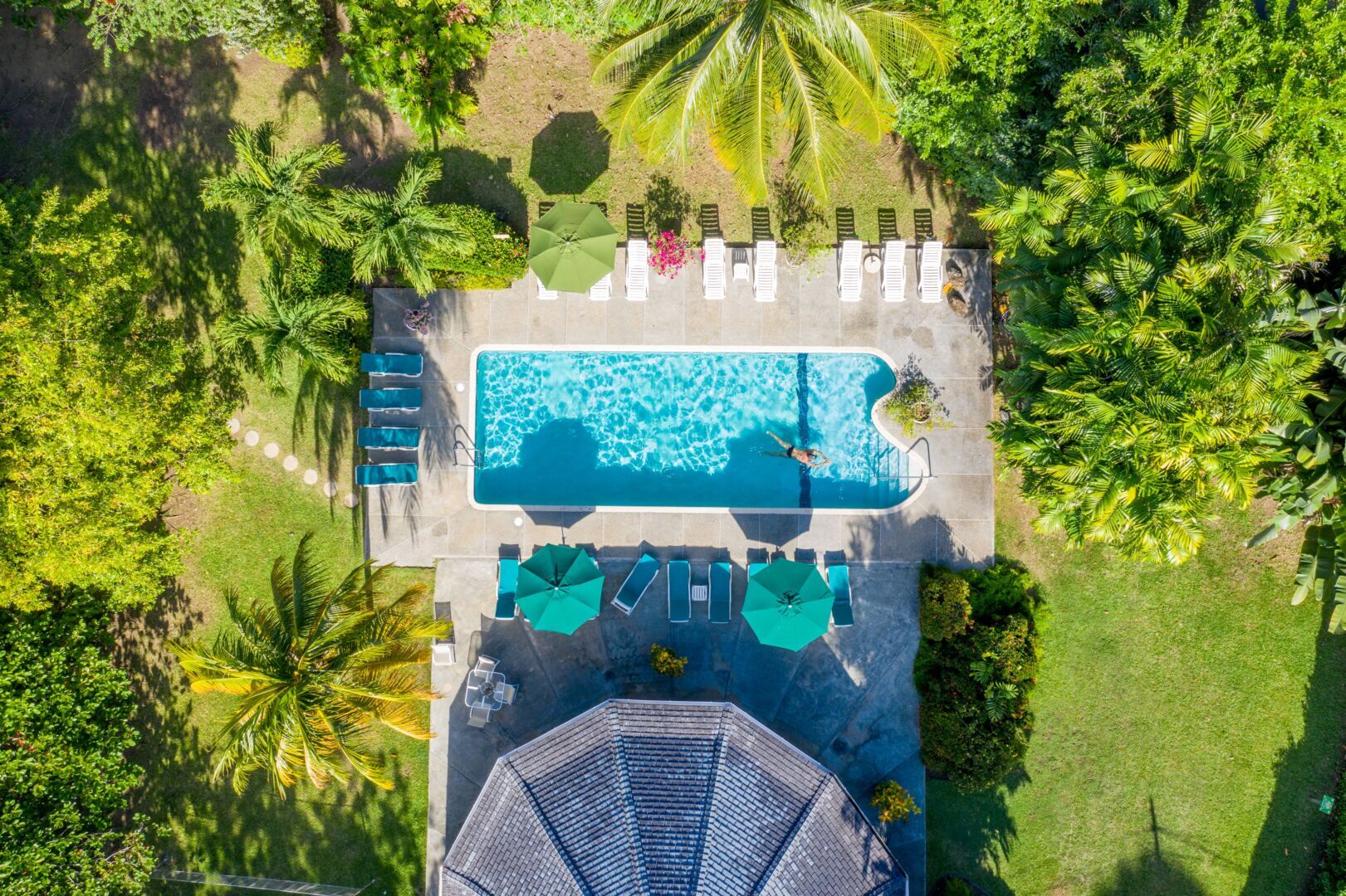 Overhead View pool sm
