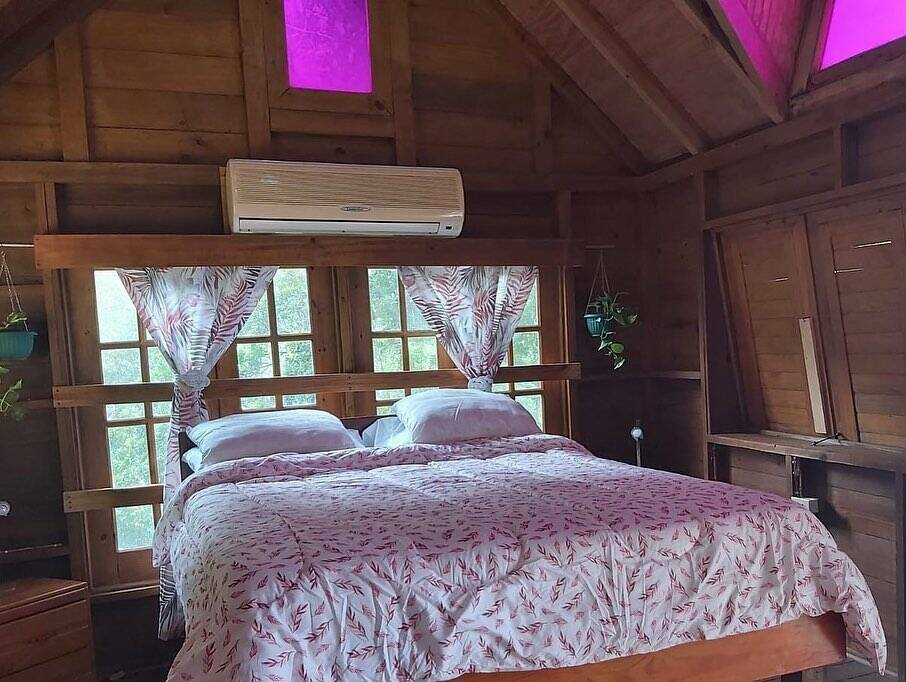TheNaturalExperienceGuestHouseandBoatRentals DDI Rental Photo 6