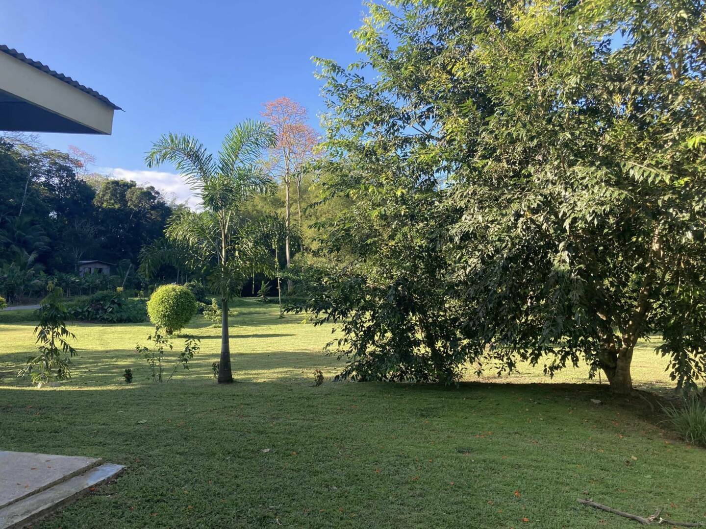 bigos ranch 3