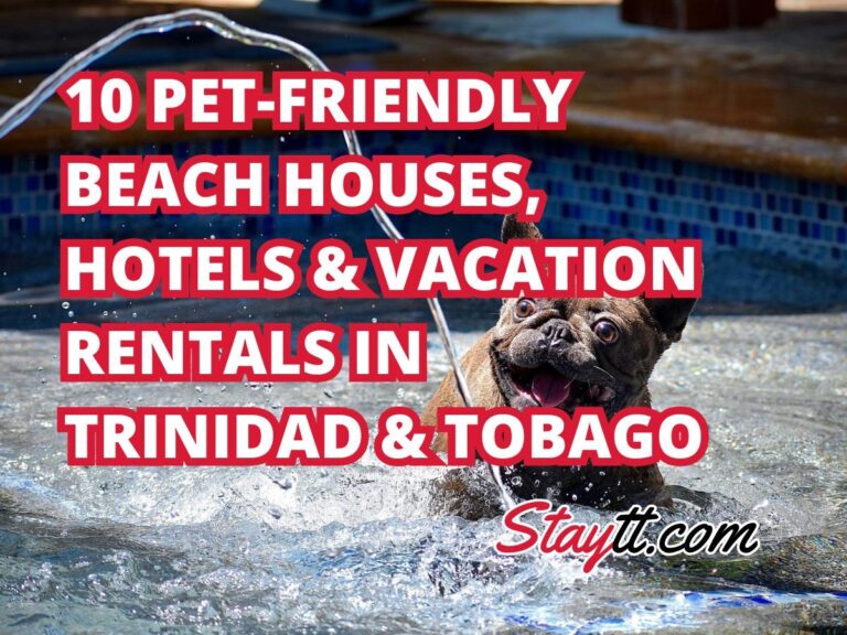 10 Pet-Friendly Beach Houses, Hotels & Vacation Rentals in Trinidad & Tobago