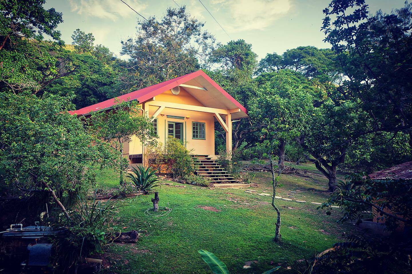 cest la vie ddi home 6