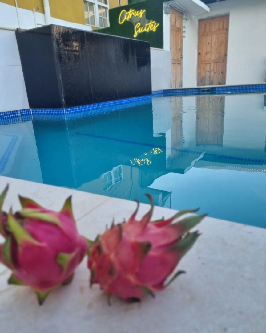 citrus suites 8