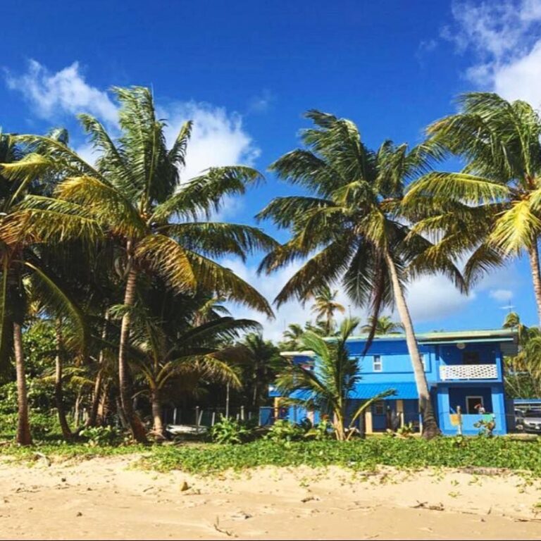 coastline beach house mayaro 1 1 768x768