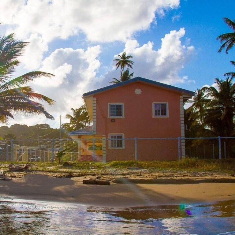 coconut grove mayaro 1 1 768x768
