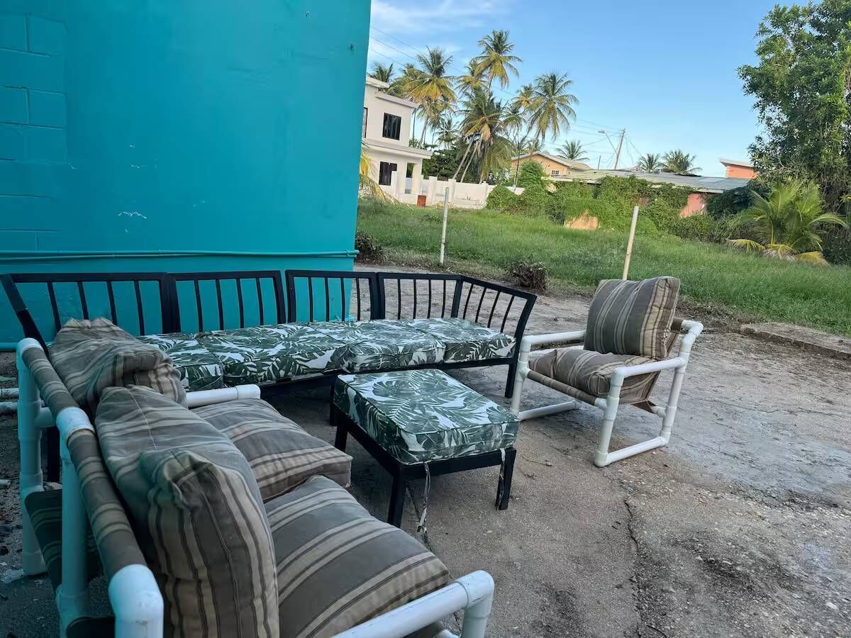 cocotero mayaro 12
