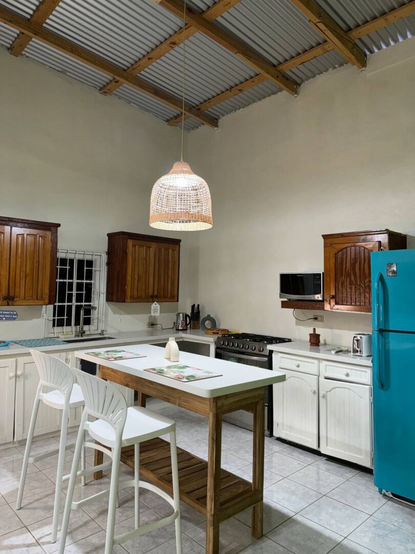 cocotero mayaro 3