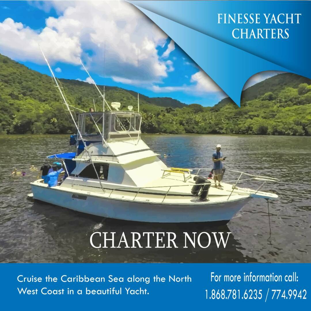 finesse yacht charters 1