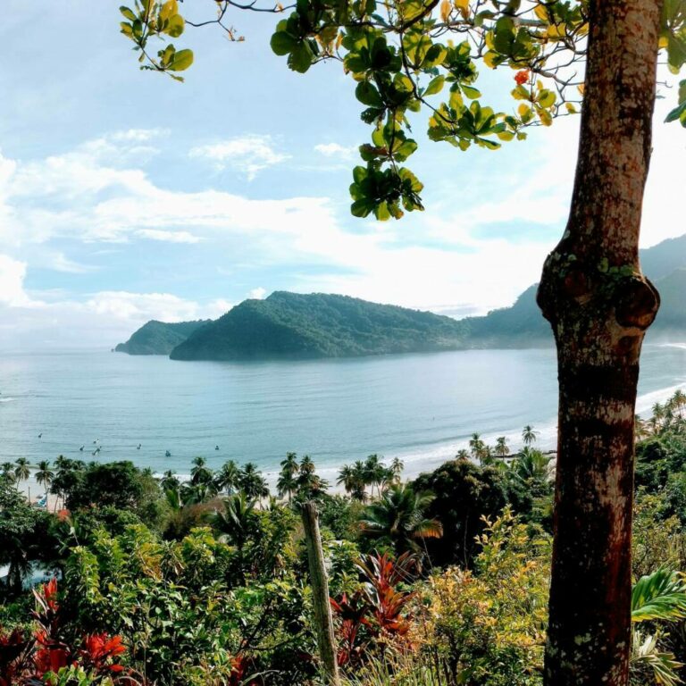 maracas bay view 1 768x768