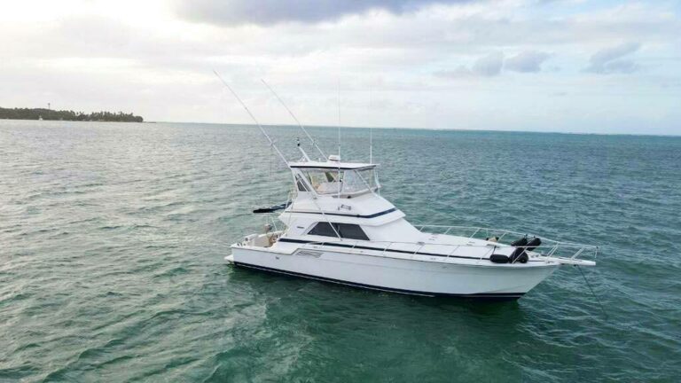 nauti charters 1 768x432