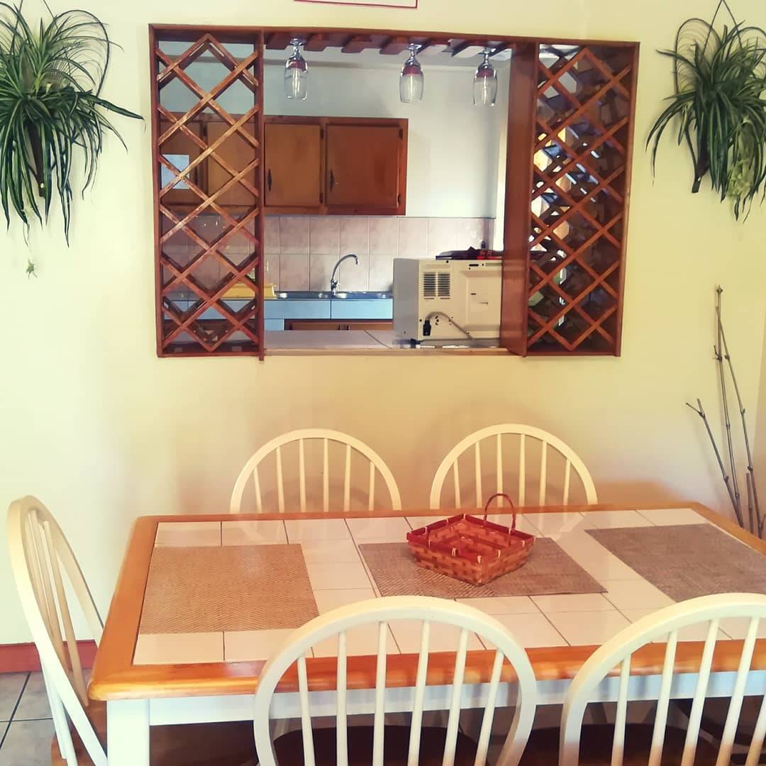 orange palms 6