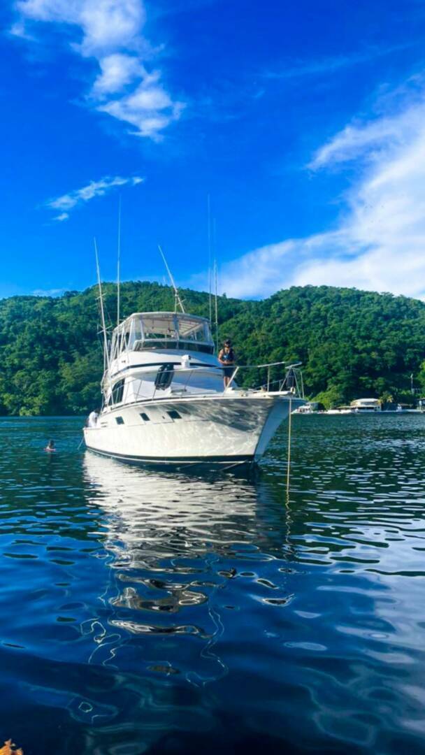 priceless charter 3