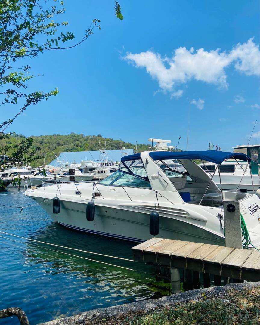 shiloh charters trinidad ddi 6