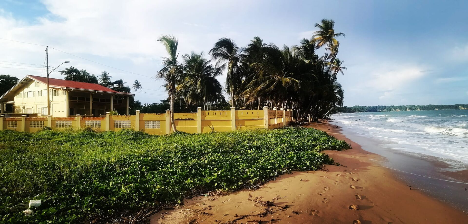 strive mayaro 9